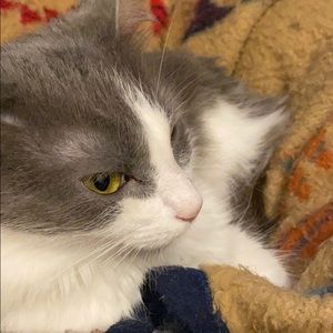 Meet your Posher, Sherry